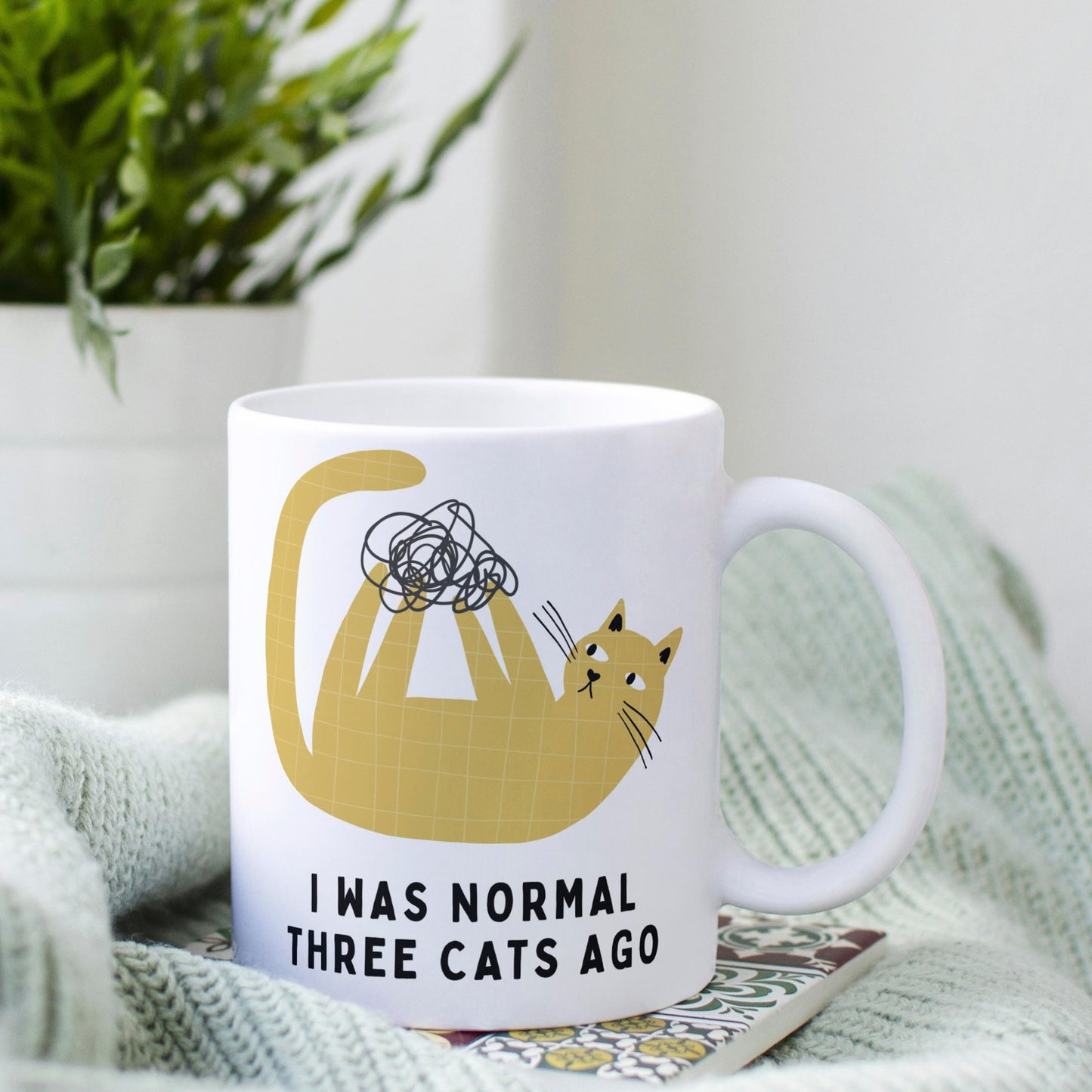 Tasse: I was normal three cats ago